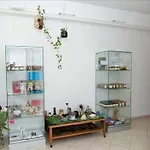 Damiani