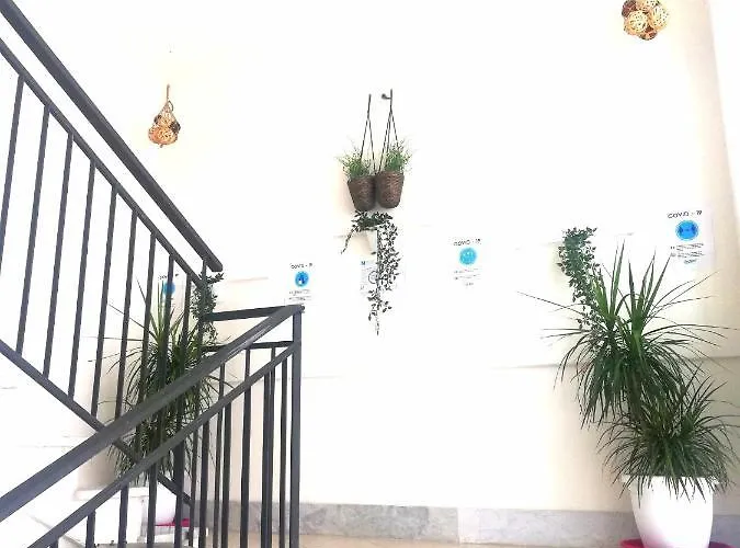 Damiani Bed & Breakfast